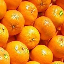 Mandarin Ripening Chambers